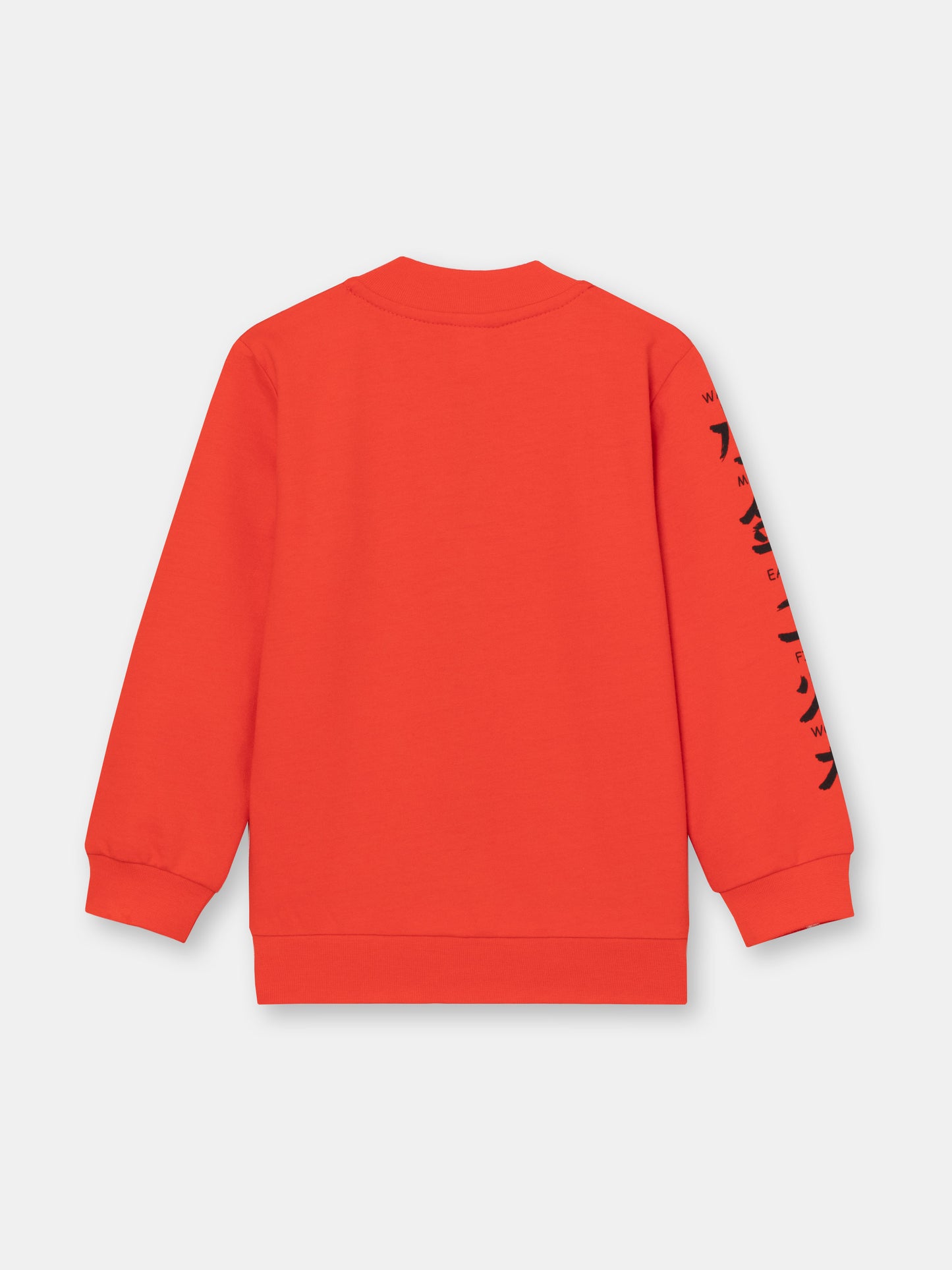 Boys Red Hoodie with Kung Fu Master Print