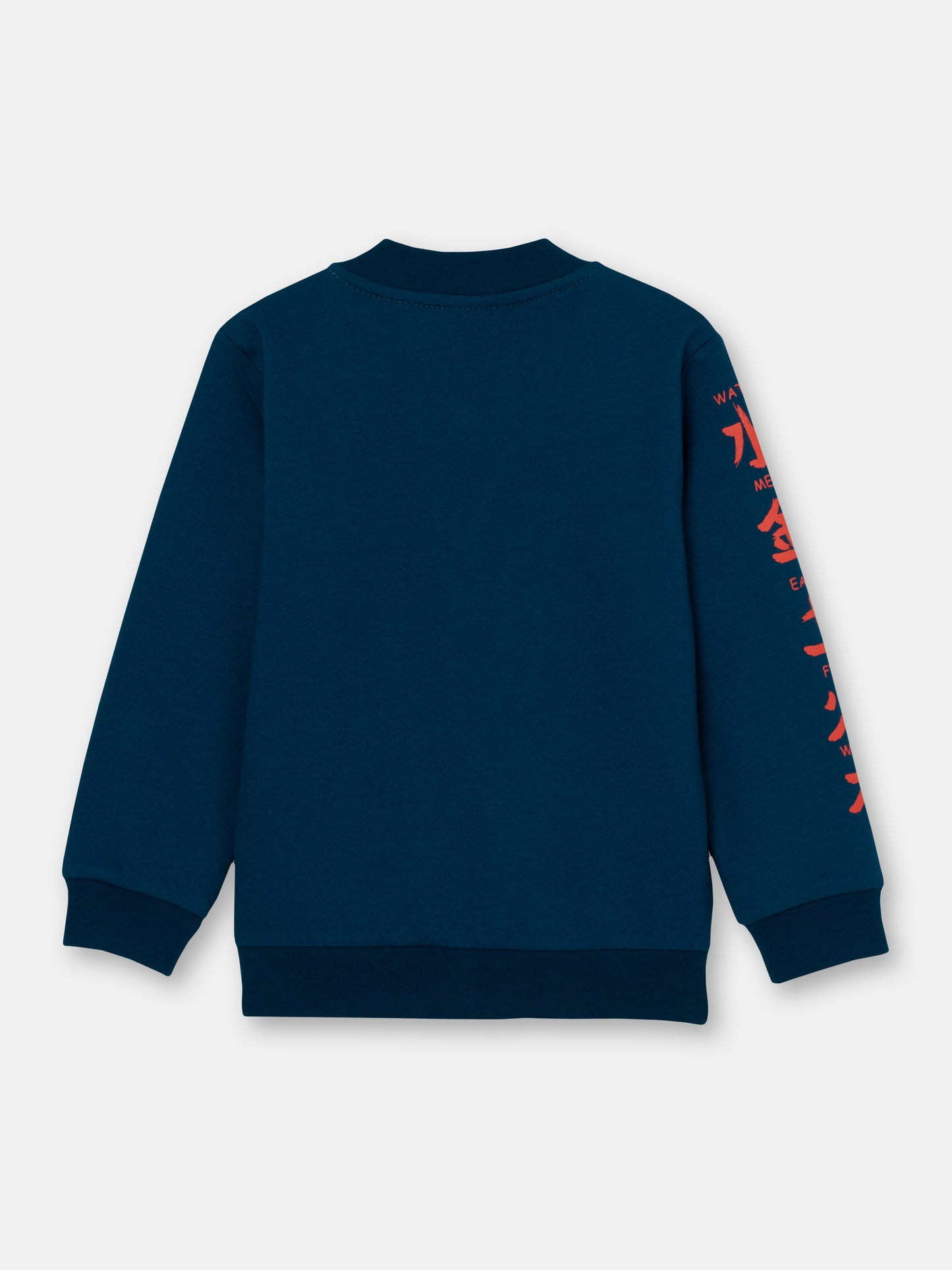 Boys Dark Blue Hoodie with Kung Fu Master Print