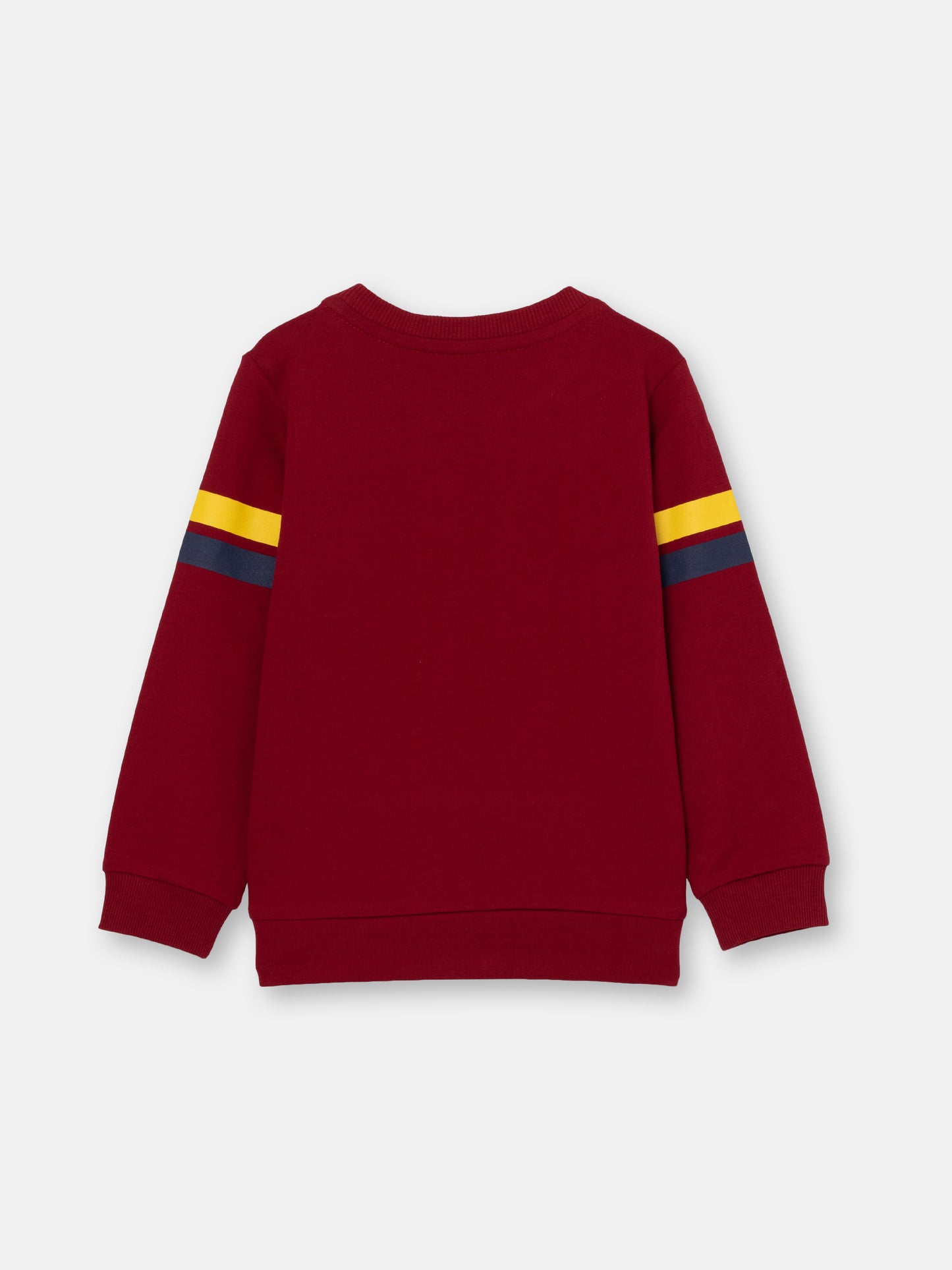 Boys Red Sweatshirt with Dive Into World Print